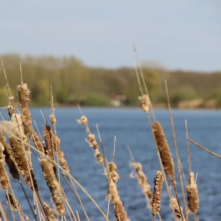 'slapen Aan Het Ven' Met Jacuzzi - Ontbijt - Minibar - Privetuin - Waanzinnig Uitzicht - Beschermd Natuurgebied - Niet Roken Lodge *